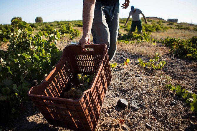 Santorini Photography & Wine Tasting Workshop - Workshop Overview