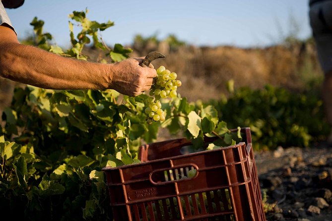 Santorini Photography & Wine Tasting Workshop - Pickup Information