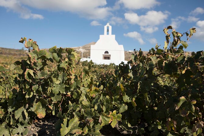 Santorini Photography & Wine Tasting Workshop - Participant Guidelines