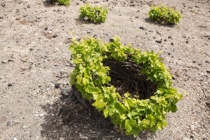 Santorini Photography & Wine Tasting Workshop - Exploring Picturesque Locations