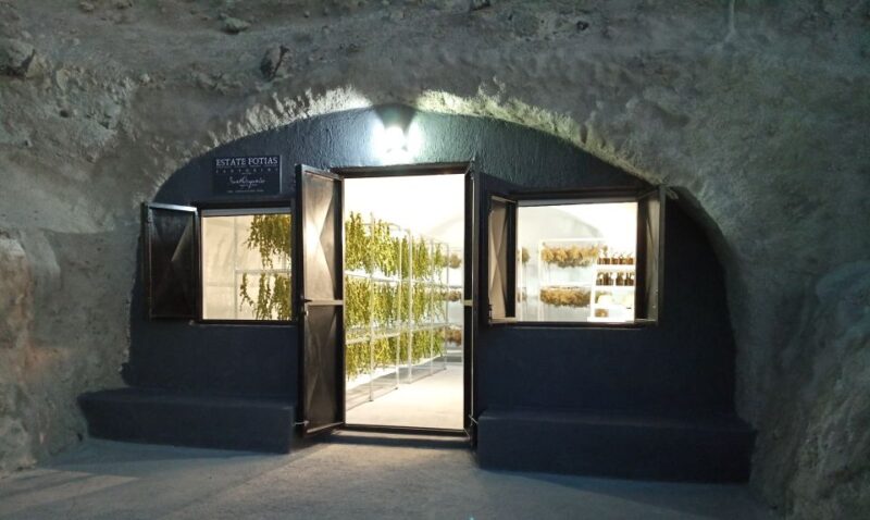 Santorini: Private Agri-Educational Visit to an Organic Farm - Experience Highlights
