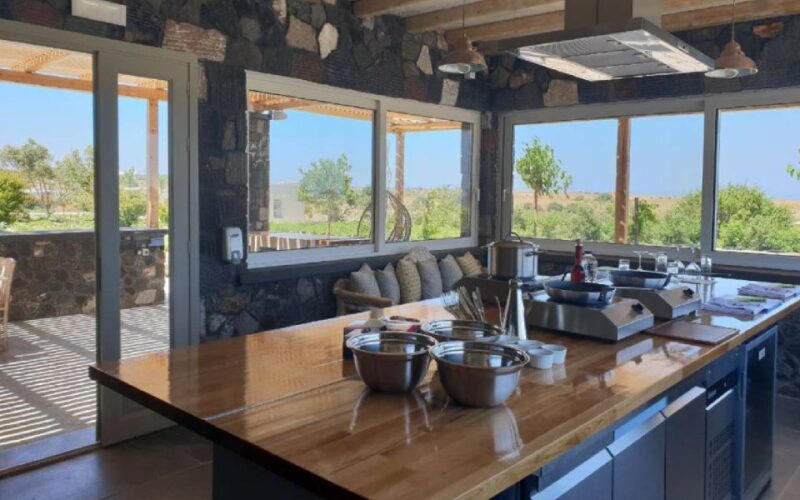 Santorini Private Cooking Class & Wine Tour - Inclusions of the Tour