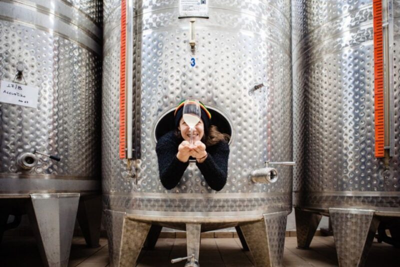 Santorini: Private Harvest Wine Tasting Limited - Tour Highlights