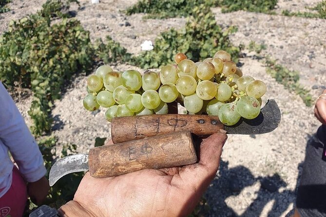 Santorini Private Highlights Tour & Wine Tasting With Local Guide - Booking and Confirmation