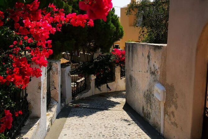 Santorini Private Tour Highlights 6h for Groups and Families - FAQs