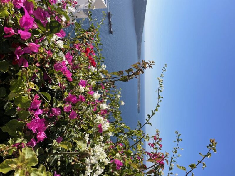 Santorini: Private Tour of the Famous Blue Domes and Caldera - Key Points