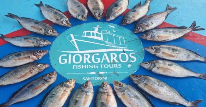 Santorini: Traditional Fishing Trip and Fresh Fish Lunch - Itinerary and Activities