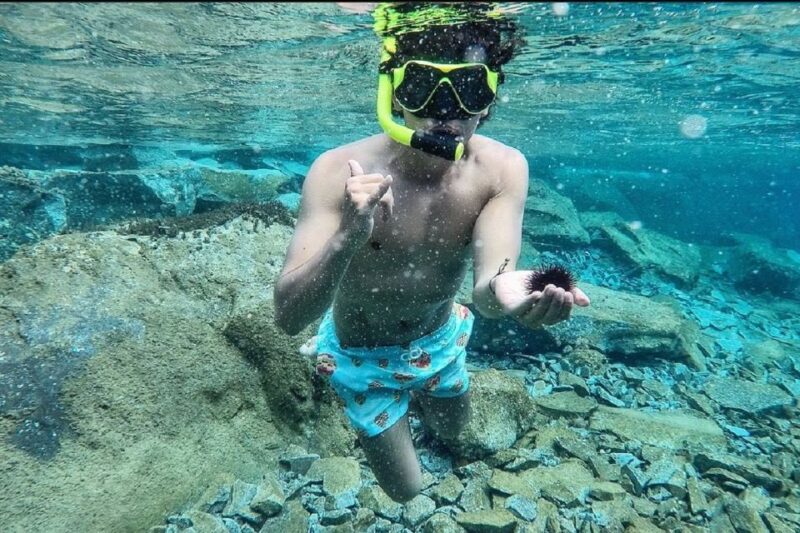 Santorini: Traditional Wooden Boat Tour With Meal and Wine - Pricing and Inclusions