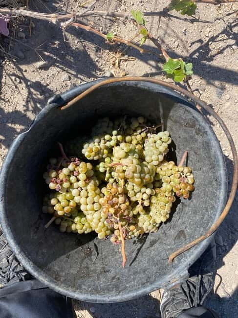 Santorini Wine & History Tour with 3 Expert Sommeliers - Who Should Consider This Tour?