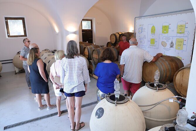Santorini Wine Stories: Daytime Tour with Tasting & Lunch - Lunch – A Culinary Highlight
