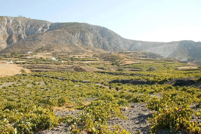 Santorini Wine Tasting: Private Tour With a Certified Wine Guide - Winery Selection and Alternatives