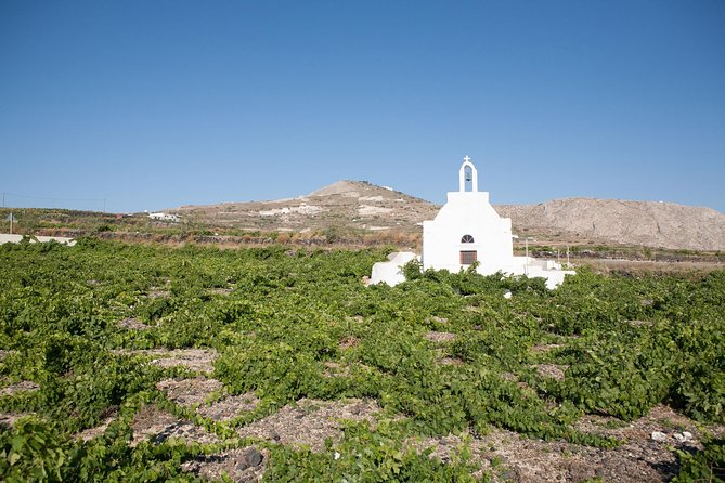 Santorini Wine Tour: Taste 12 Best Wines & 3 Beers With Pairings - Winery and Brewery Visits