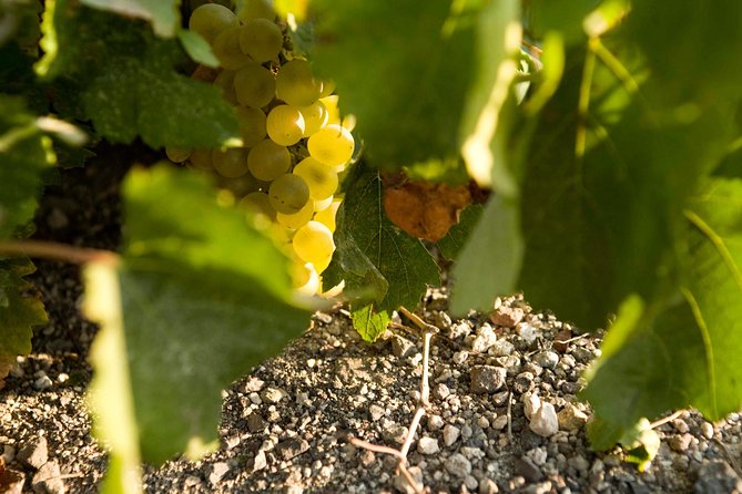 Santorini Wine Tour: Taste 12 Best Wines & 3 Beers With Pairings - Transportation and Accessibility