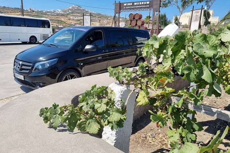 Santorini's "Wine Roads": Private Wine Tour With Tastings - Who Will Love This Tour?  