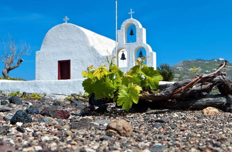 Santorini's "Wine Roads": Private Wine Tour With Tastings - FAQ  