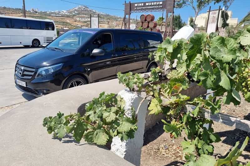 Santorini's "Wine Roads": Wine Tasting Tour at 3 Wineries - Key Points  
