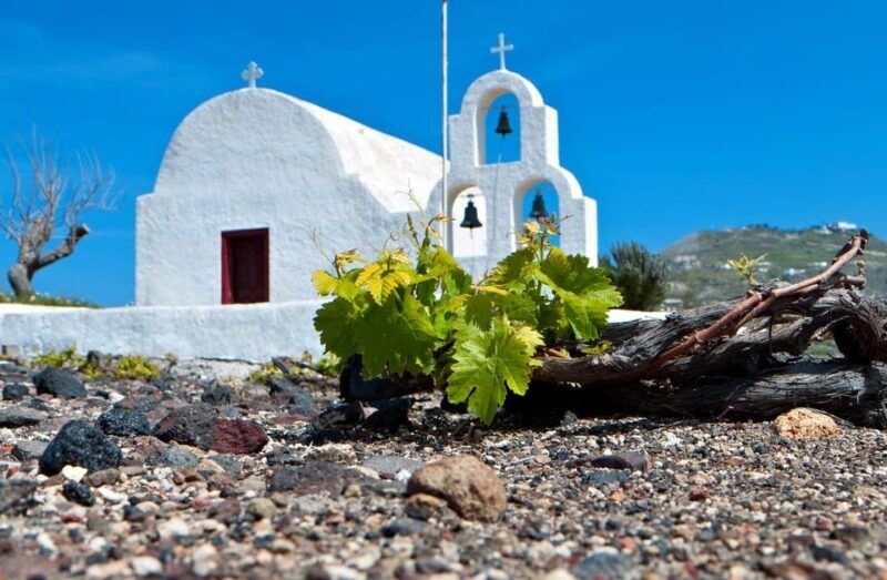 Santorini's "Wine Roads": Wine Tasting Tour at 3 Wineries - Final Thoughts  
