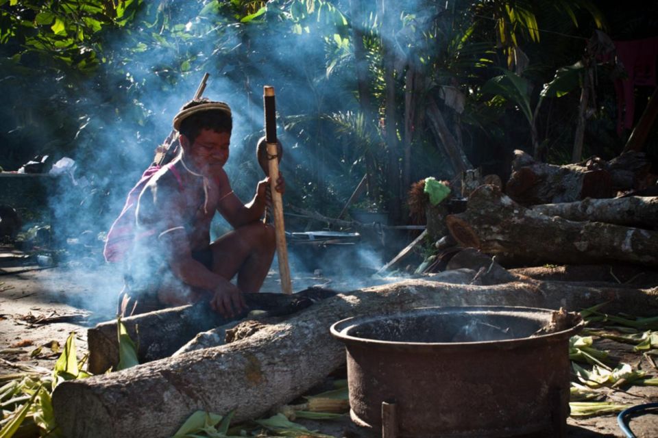 Santos Shore Excursion: Rain Forest and Indian Reserve - Key Points