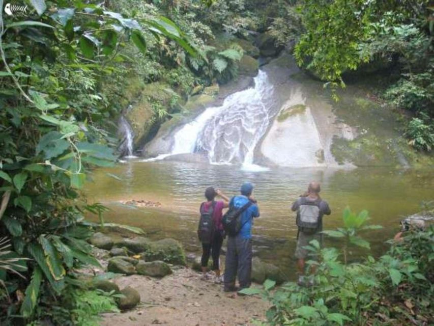 Santos Shore Excursion: Rain Forest and Indian Reserve - Tour Highlights