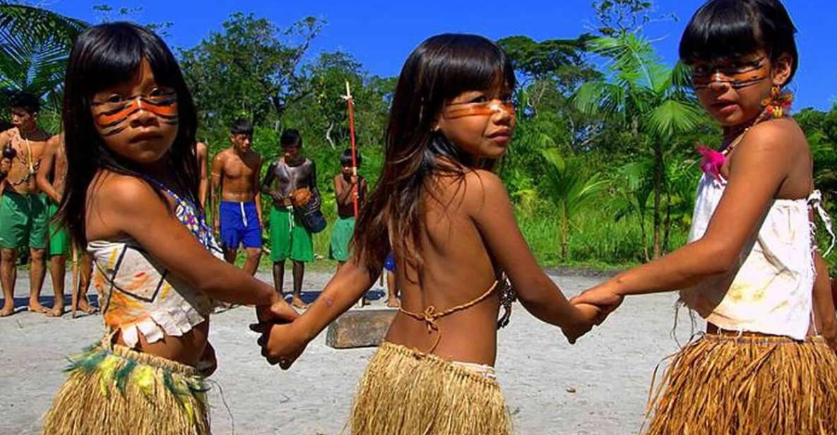 Santos Shore Excursion: Rain Forest and Indian Reserve - Detailed Itinerary