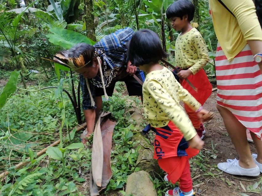 Santos Shore Excursion: Rain Forest and Indian Reserve - Cultural Immersion