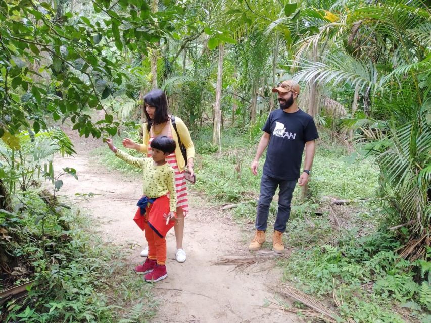 Santos Shore Excursion: Rain Forest and Indian Reserve - Safety and Comfort