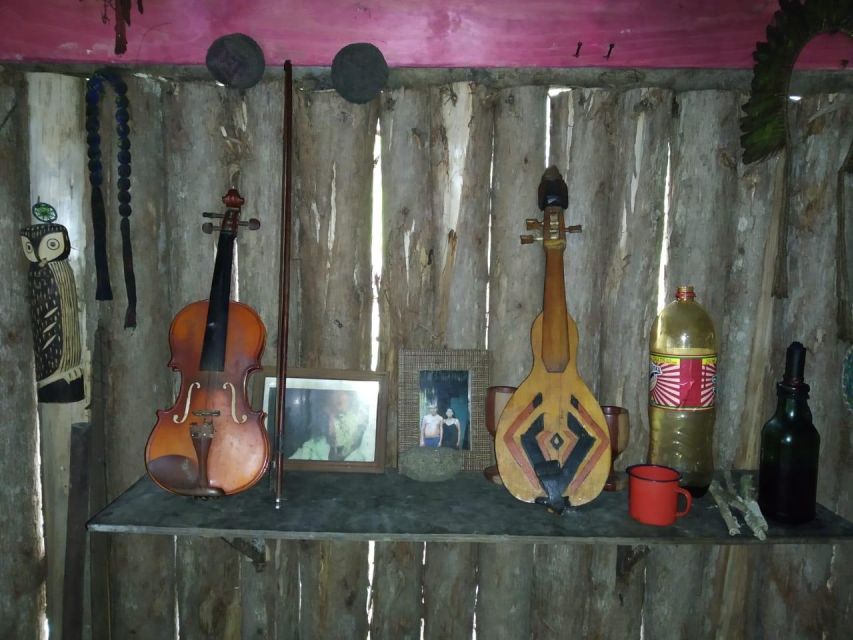Santos Shore Excursion: Rain Forest and Indian Reserve - What to Bring