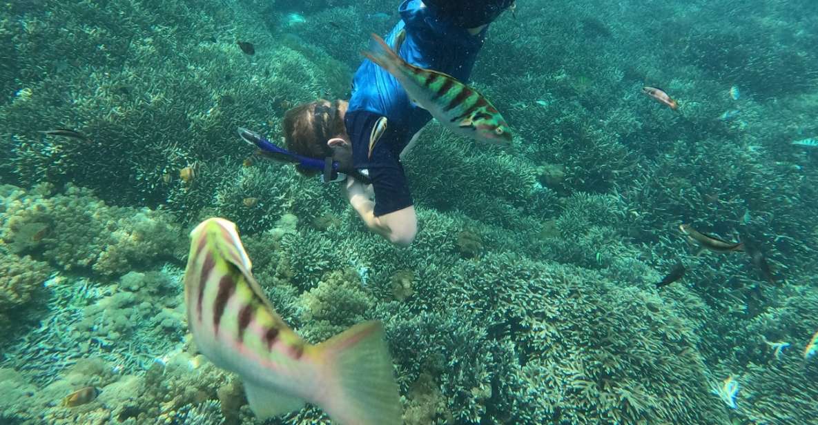 Sanur : Snorkeling at Sanur Coastal Area - Detailed Itinerary