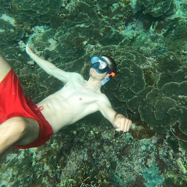 Sanur : Snorkeling at Sanur Coastal Area - Customer Feedback and Ratings