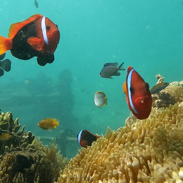 Sanur : Snorkeling at Sanur Coastal Area - What to Bring