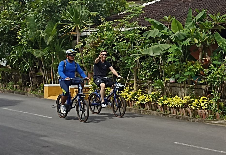 Sanur Village E-Bike Tour: With Turtle Sanctuary Visit - Key Points