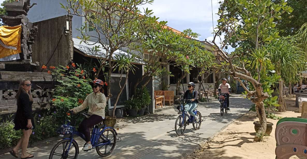 Sanur Village E-Bike Tour: With Turtle Sanctuary Visit - Cycling Through Rice Fields