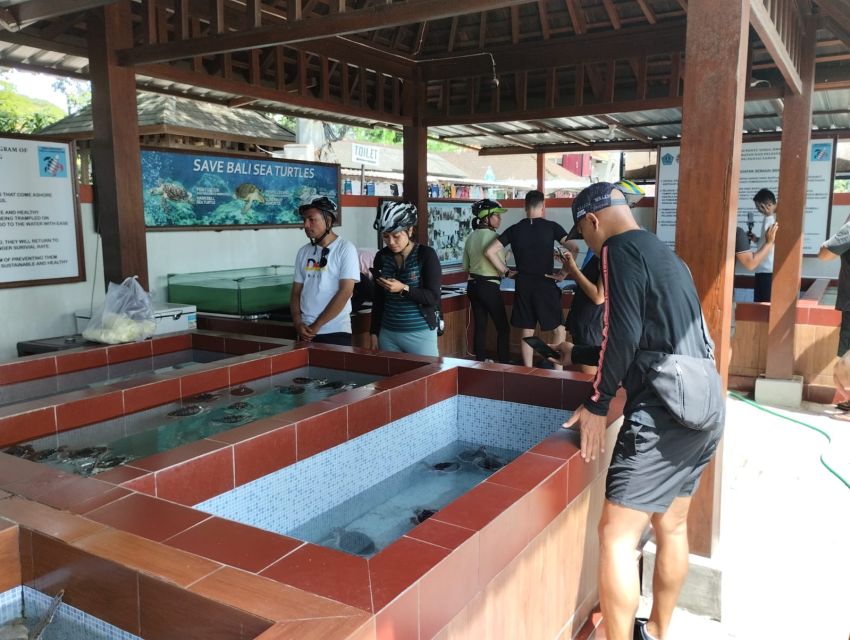 Sanur Village E-Bike Tour: With Turtle Sanctuary Visit - Visiting the Traditional Market