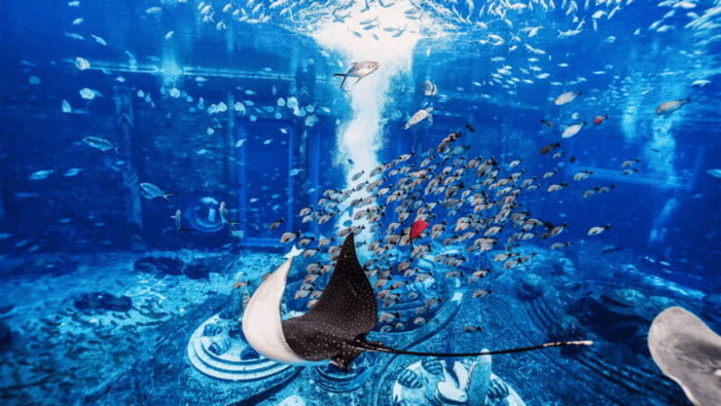 Sanya: Atlantis Lost Chambers Aquarium - Key Points