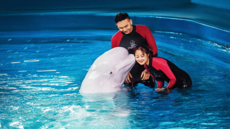 Sanya: Atlantis Lost Chambers Aquarium - The Sum Up
