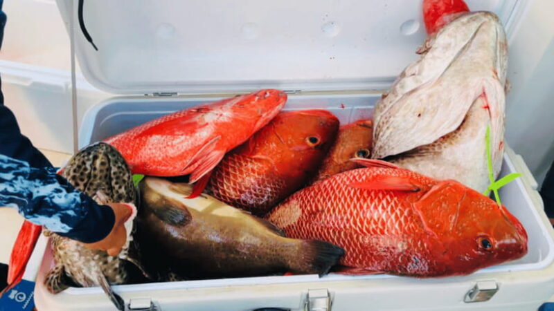 Sanya: Deep Sea Fishing Yacht Experience - Final Thoughts