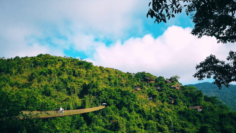 Sanya: Yalong Bay Tropical Forest Ticket and Tour Car - The Sum Up
