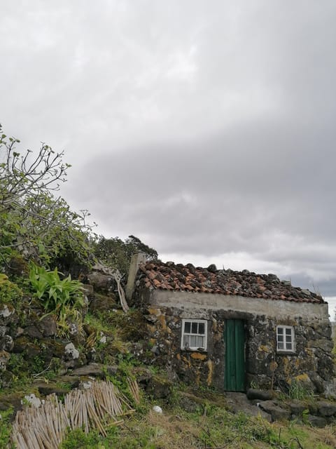 São Jorge: Fajã Camping and Hiking Tour - An In-Depth Look at the São Jorge Camping and Hiking Experience