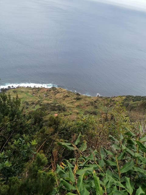 São Jorge: Fajã Camping and Hiking Tour - FAQs