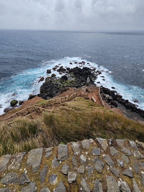 São Jorge: Island, Forest Reserve & Fajãs Guided Tour - A Deep Dive into the São Jorge Experience