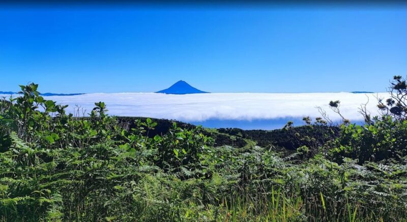 São Jorge: Island, Forest Reserve & Fajãs Guided Tour - Who Would Love This Tour?