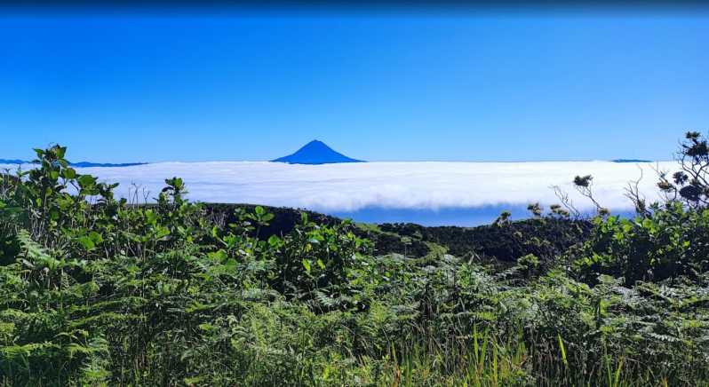 São Jorge: Island, Forest Reserve & Fajãs Guided Tour - The Sum Up