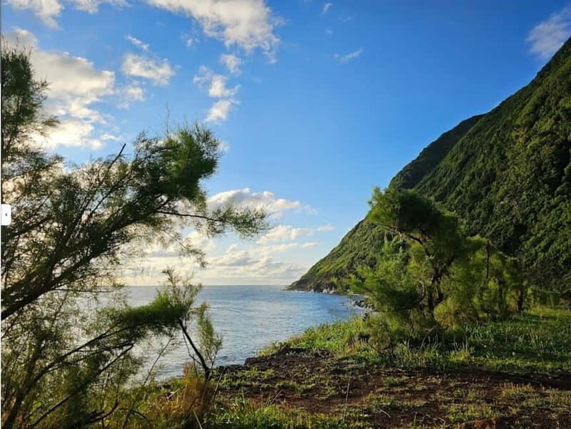 São Jorge Island Panoramic Adventure  4 Hour Tour - What You’ll Miss and What to Expect