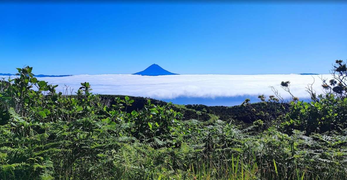 São Jorge: Island Round Trip Up to 4 Hours. - Itinerary Highlights