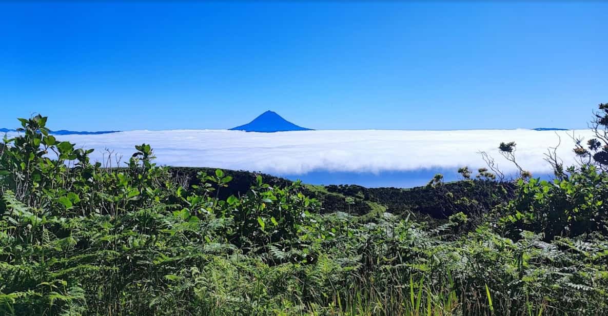 São Jorge: Island Round Trip Up to 7 Hours. - First Coffee Plantation in Europe