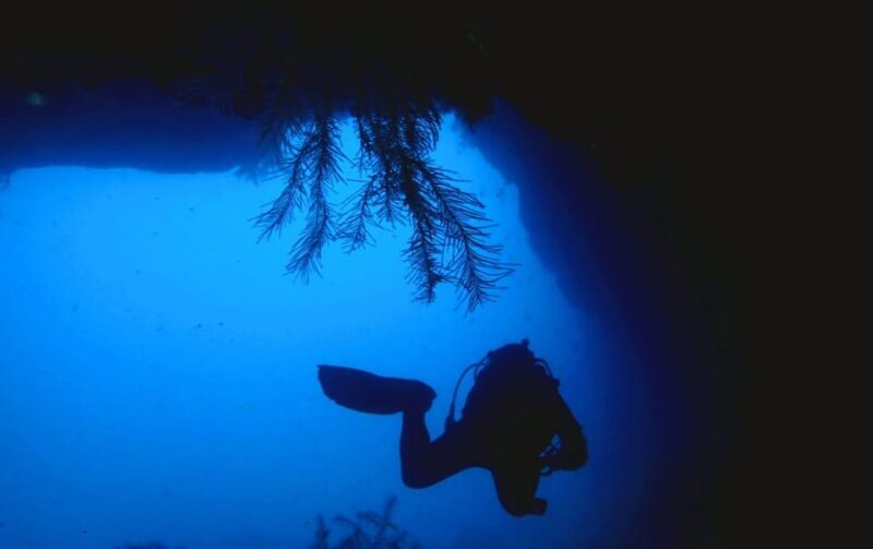 São Jorge: Scuba Diving - 2 Dives (Half Day) - The Experience: What Travelers Are Saying
