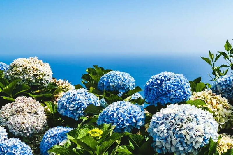 São Miguel: 2-Day Tour, A Perfect Blend of Nature & Culture - Practical Details and Tips