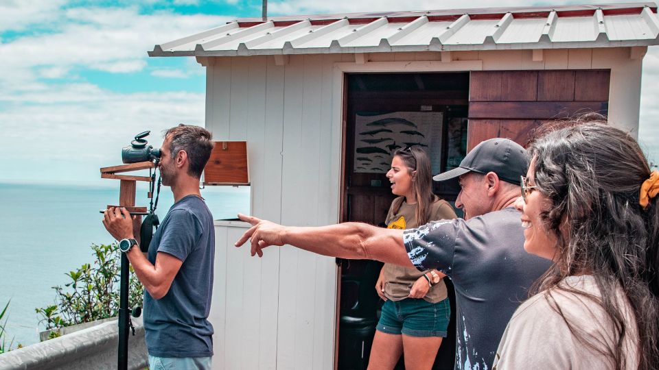 São Miguel: Azorean Whalers Heritage Tour - Experience Overview