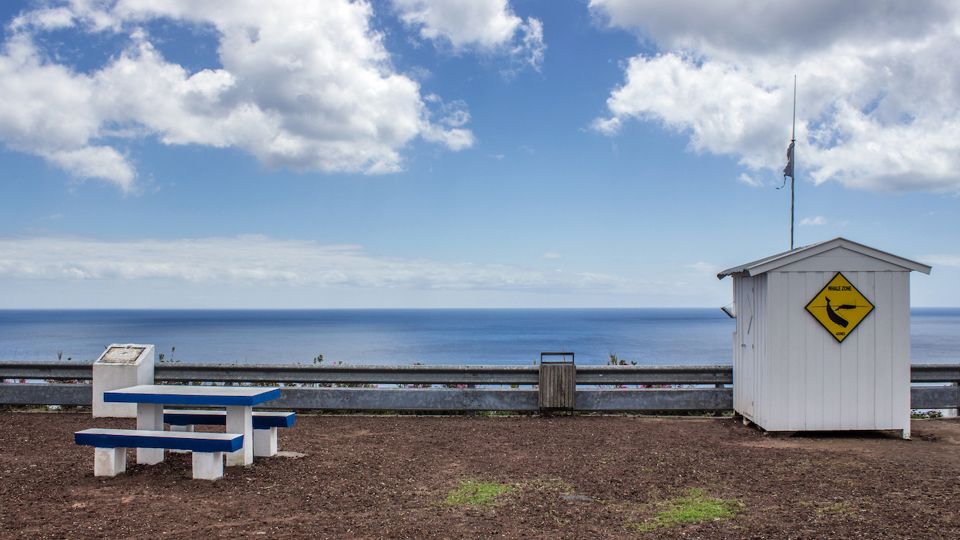São Miguel: Azorean Whalers Heritage Tour - Whaleboat and Lookout Visit