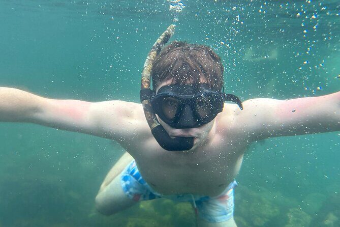 São Miguel Azores: Hike and Snorkeling into the wild with a local - The Waterfall and Ancient Forests